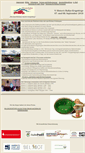 Mobile Screenshot of historic-rallye-erzgebirge.de